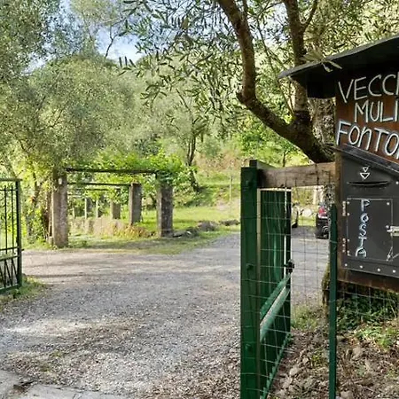 Vecchio Mulino Rosa
